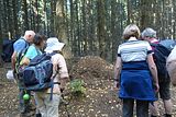 18-10-13 Wandertag Selketal (51)